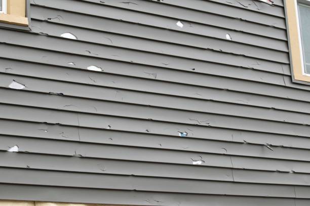 Best Engineered Wood Siding  in Wahoo, NE